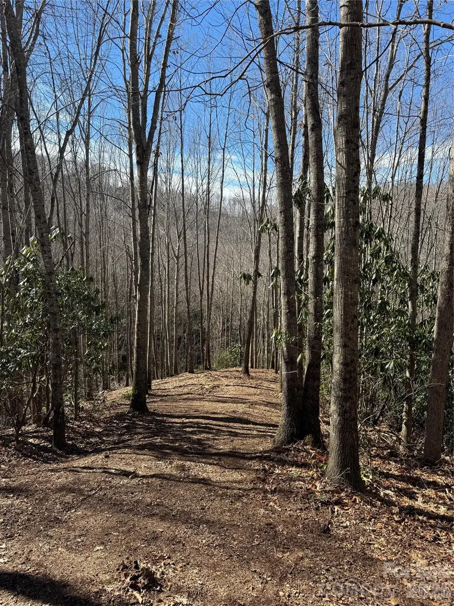 236 Down The Hill Road, Sylva, NC 28779 - #3