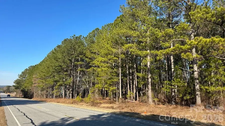 0 Us Route 1 Highway #Lot 92, McBee, SC 29550 - #2