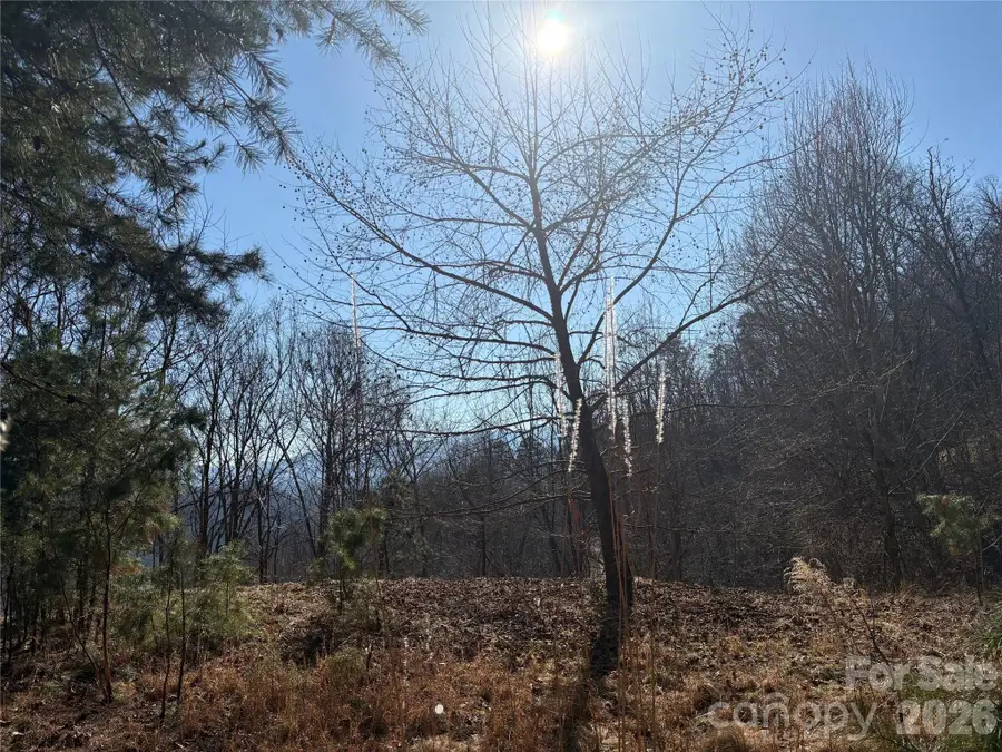 00 Brush Creek Road #41, Bryson City, NC 28713 - #2