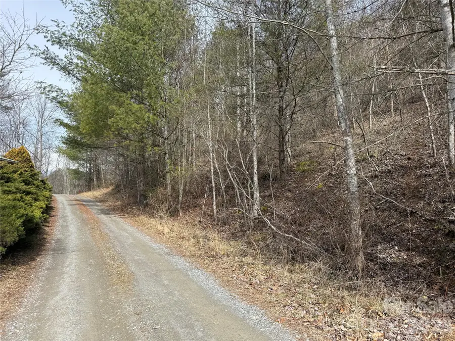 000 Rosalie Lane #5, Waynesville, NC 28785 - #2