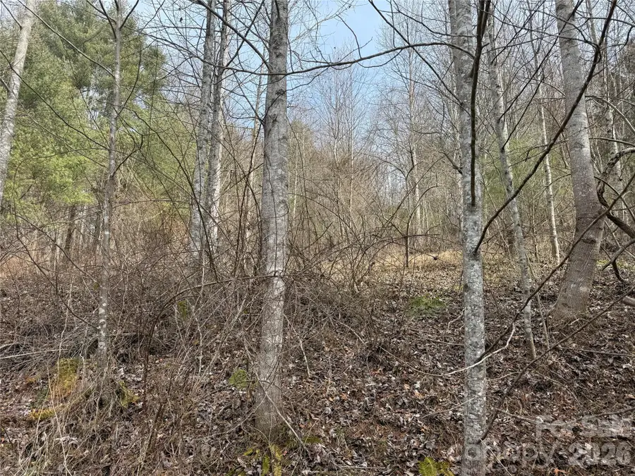 000 Rosalie Lane #5, Waynesville, NC 28785 - #3