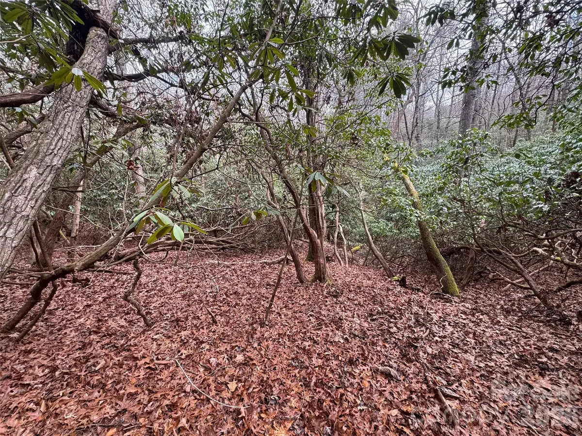 000 Falls Creek Court, Pisgah Forest, NC 28768 - #1