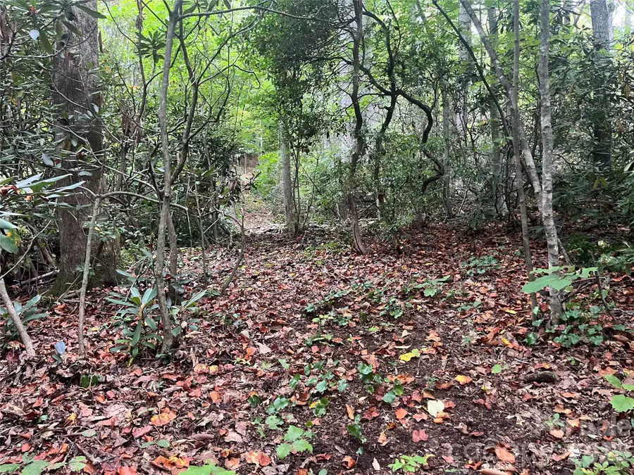 tbd Mecklenburg Circle, Montreat, NC 28757 - #2