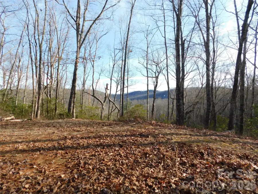 154 Laurel Thicket Drive #98, Brevard, NC 28712 - #3