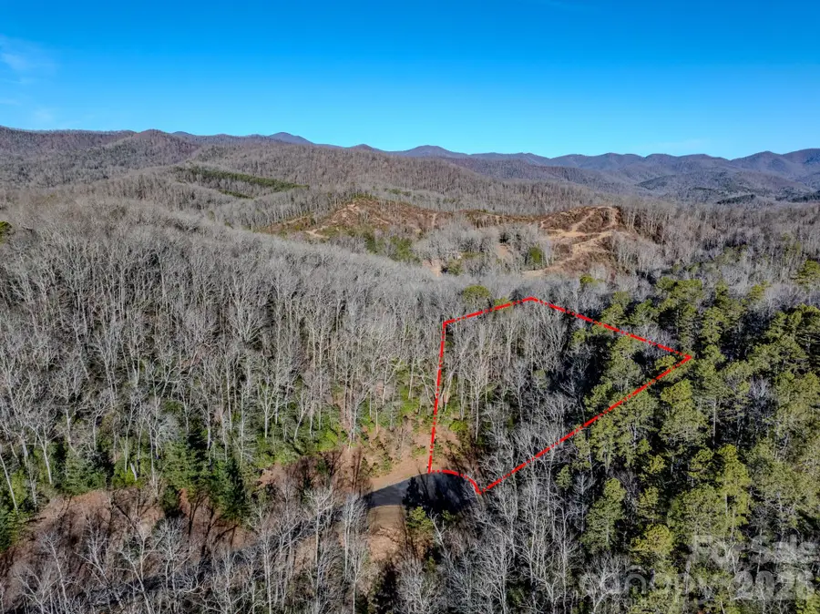 1647 Mills River Way, Horse Shoe, NC 28742 - #2