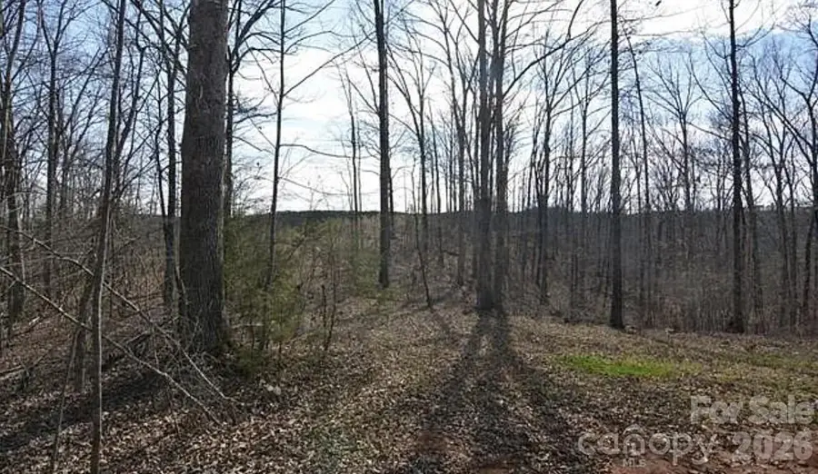 2030 Kisatchie Drive, Hickory Grove, SC 29717 - #2