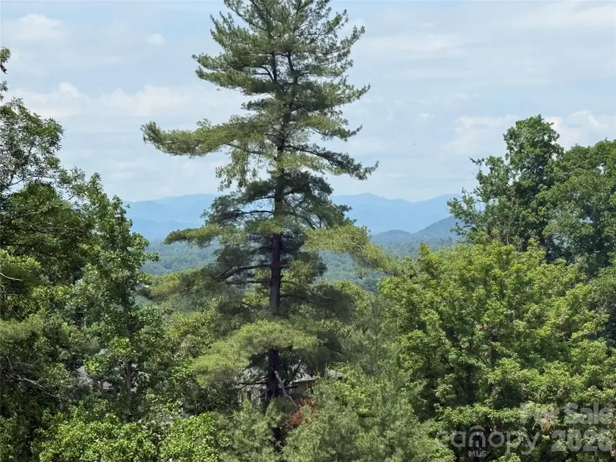 44 Leisure Mountain Road, Asheville, NC 28804 - #3