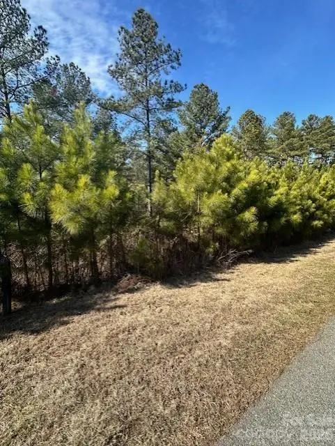 TBD Windward Lane #33, Granite Falls, NC 28630 - #3