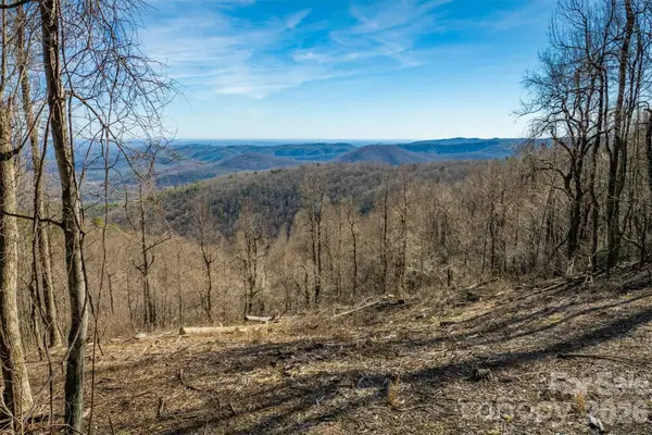 7596 Walkertop Mtn Overlook Drive, Morganton, NC 28655
