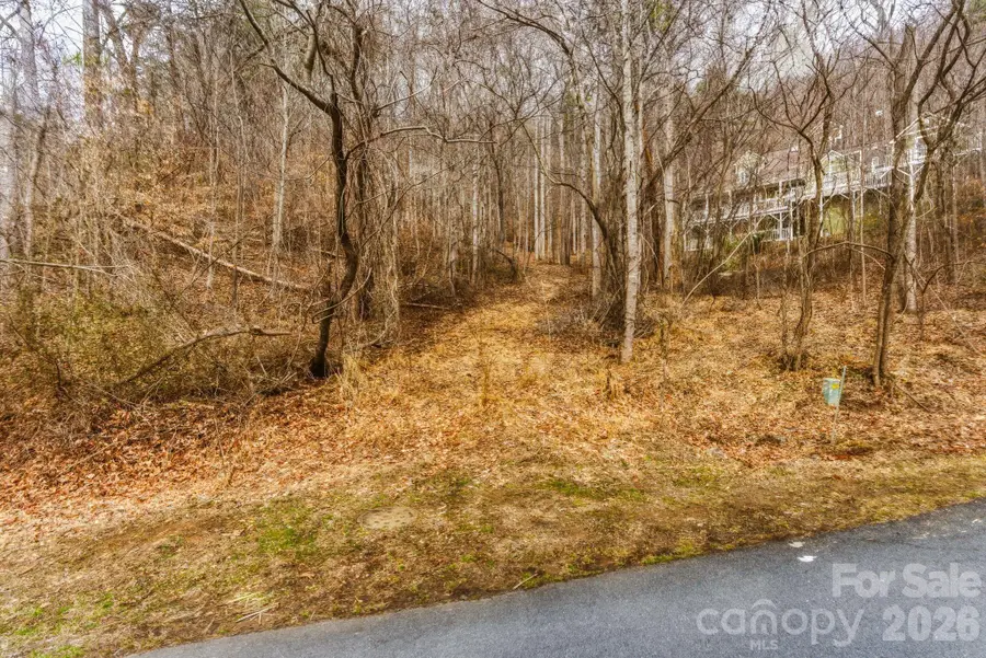 99999 Hawk View Drive #7, Asheville, NC 28804 - #3