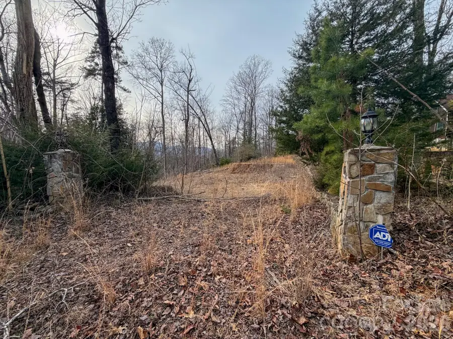 161 Starling Road, Lake Lure, NC 28746 - #2