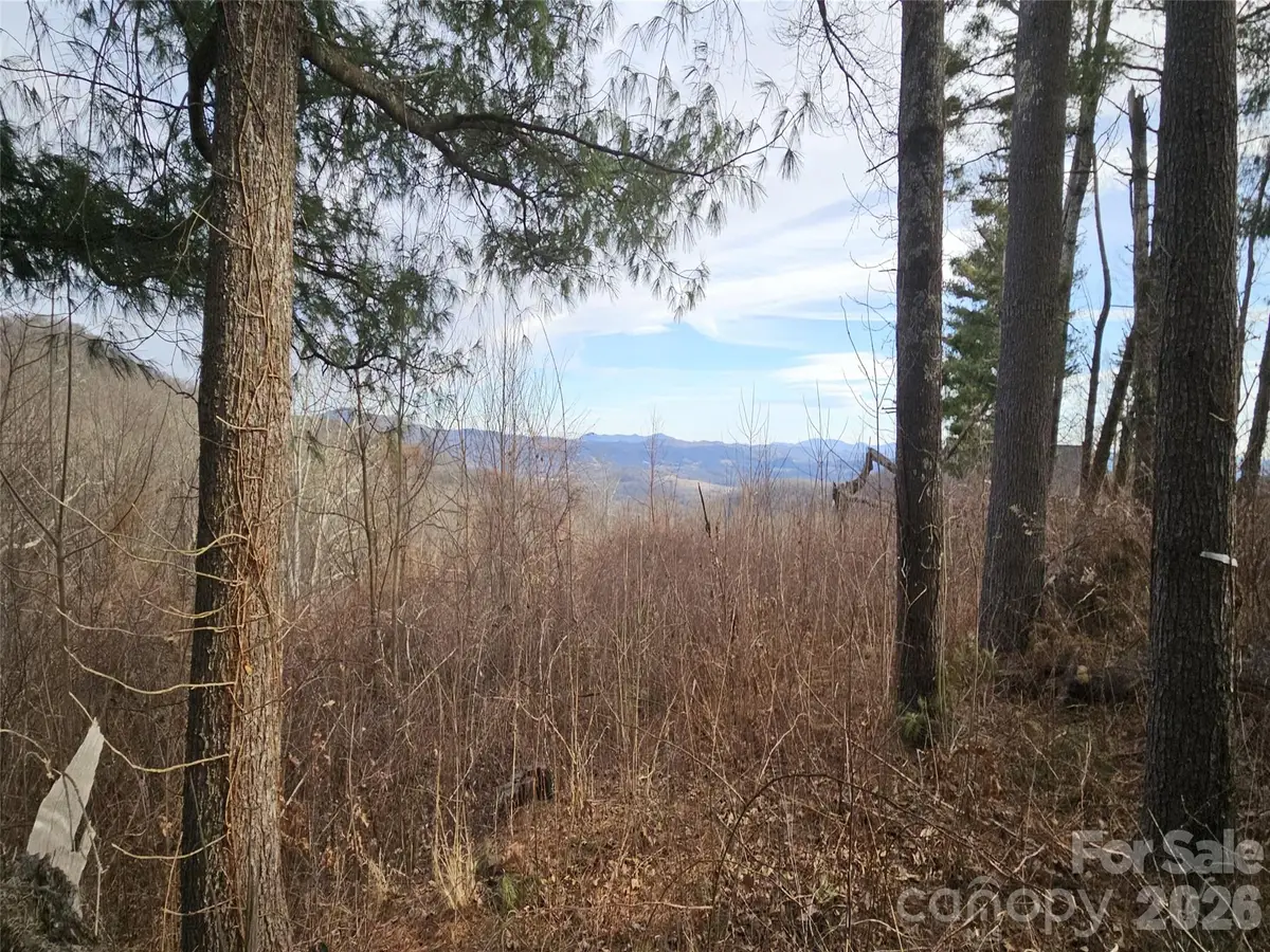 #178 Dancing Bear Drive, Hendersonville, NC 28792 - #1