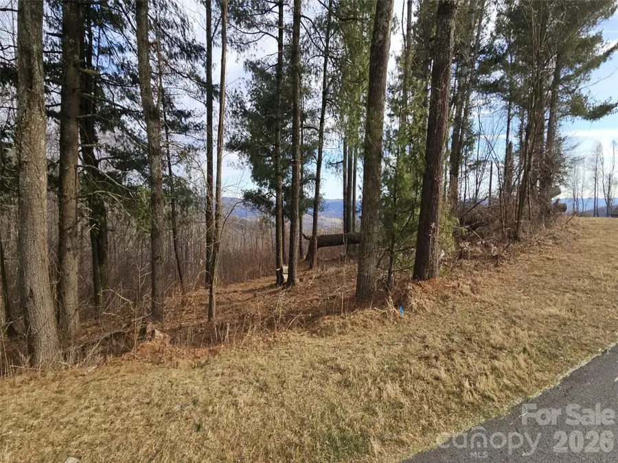 #178 Dancing Bear Drive, Hendersonville, NC 28792 - #3