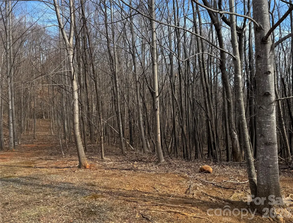 99999 Chesterfield Drive #179, Mill Spring, NC 28756 - #1