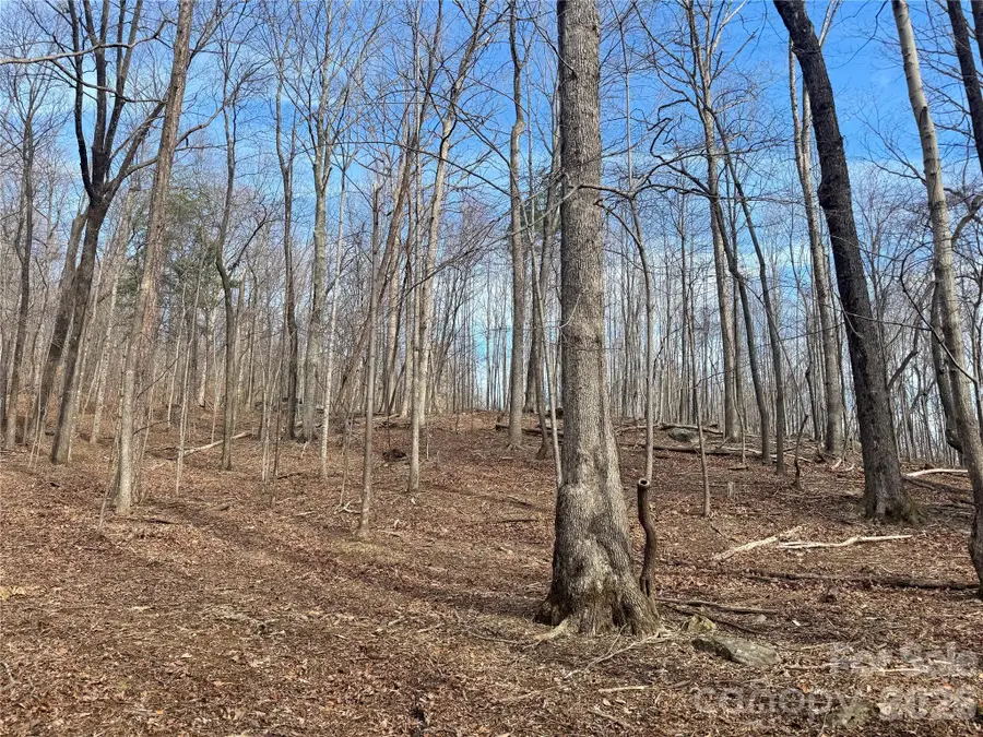 99999 Chesterfield Drive #176, Mill Spring, NC 28756 - #2