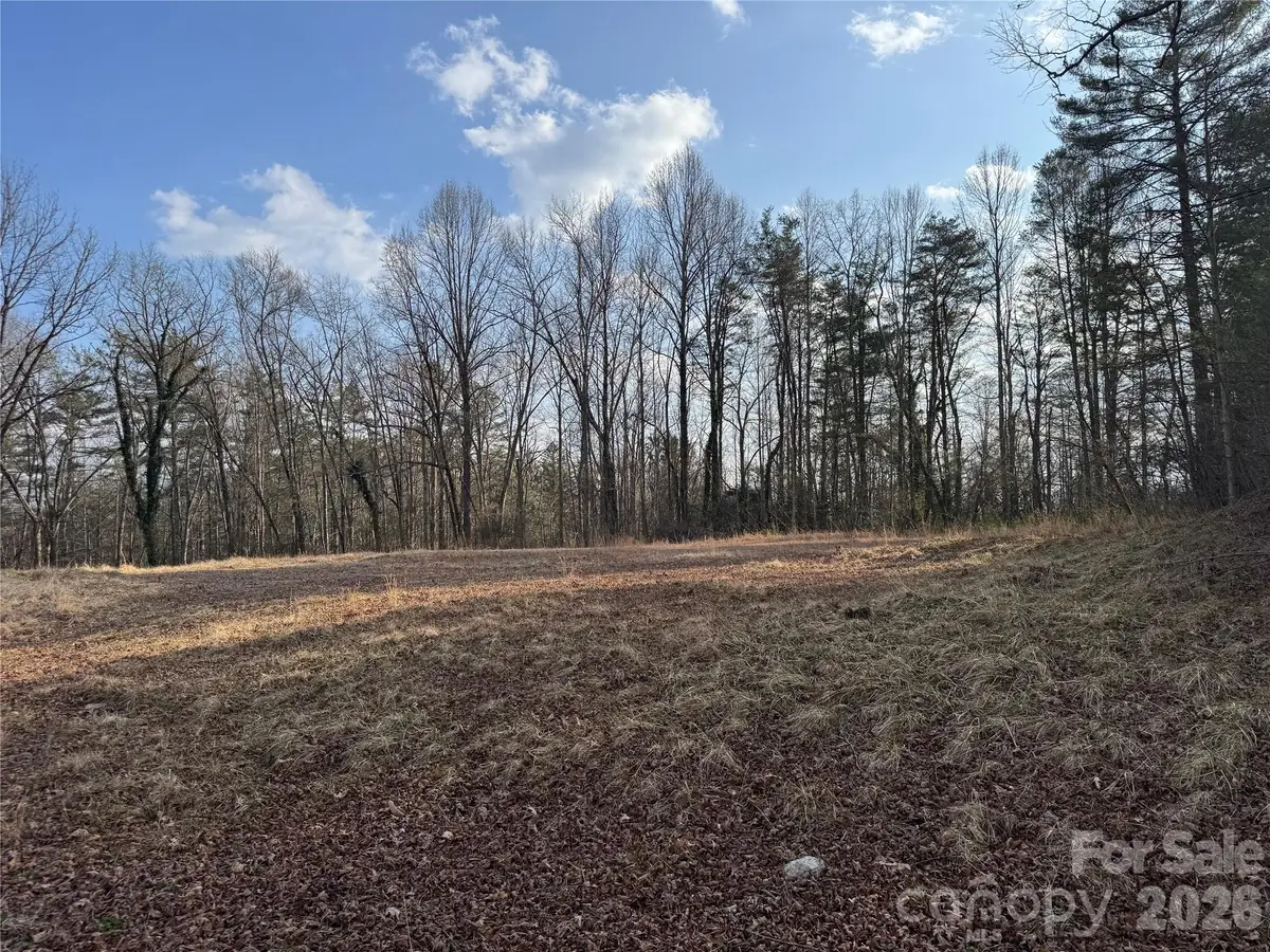 481 Fisher Road, Brevard, NC 28712 - #1