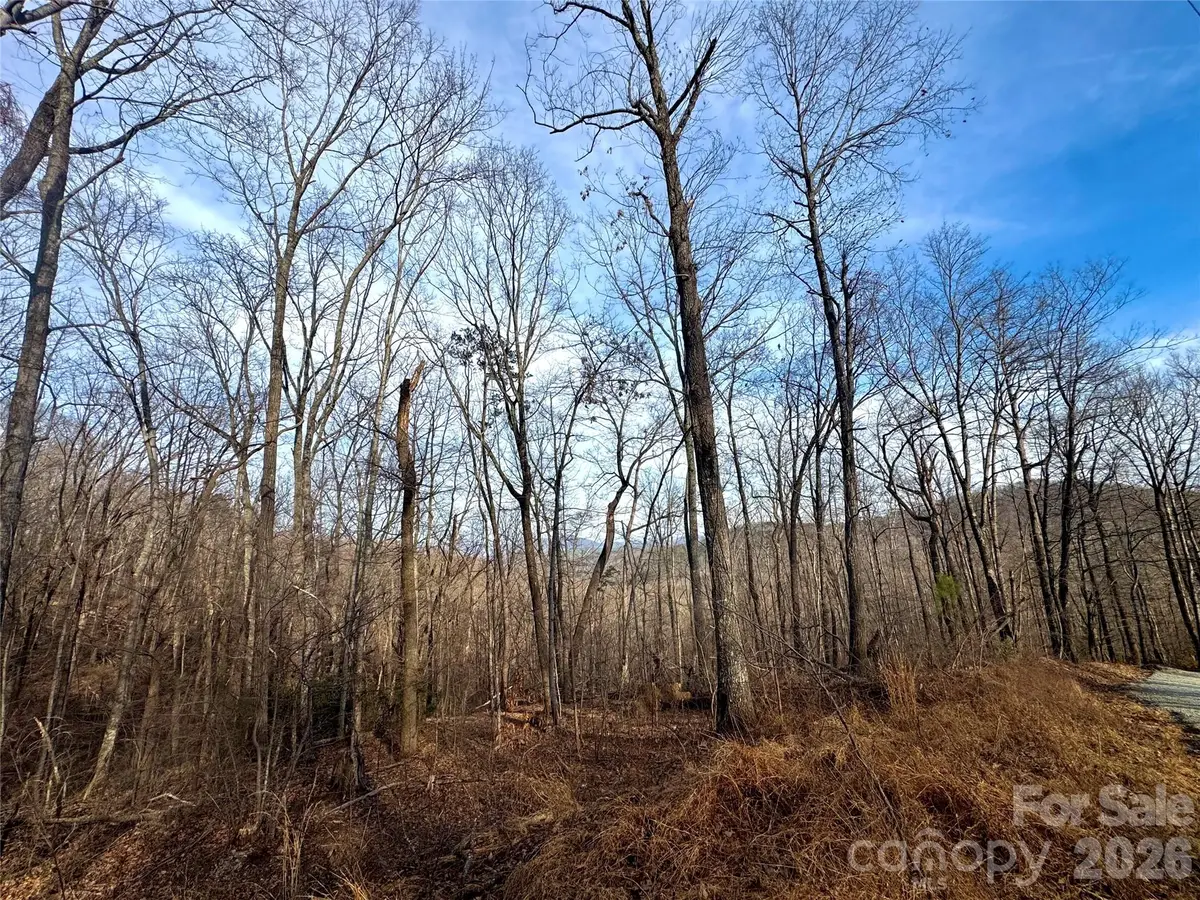 0 Peartree Drive, Lake Lure, NC 28746 - #1