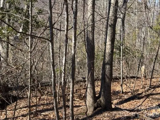 104 Smokehouse Way, Burnsville, NC 28714 - #1