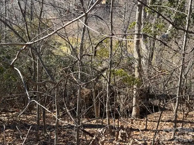 104 Smokehouse Way, Burnsville, NC 28714 - #2