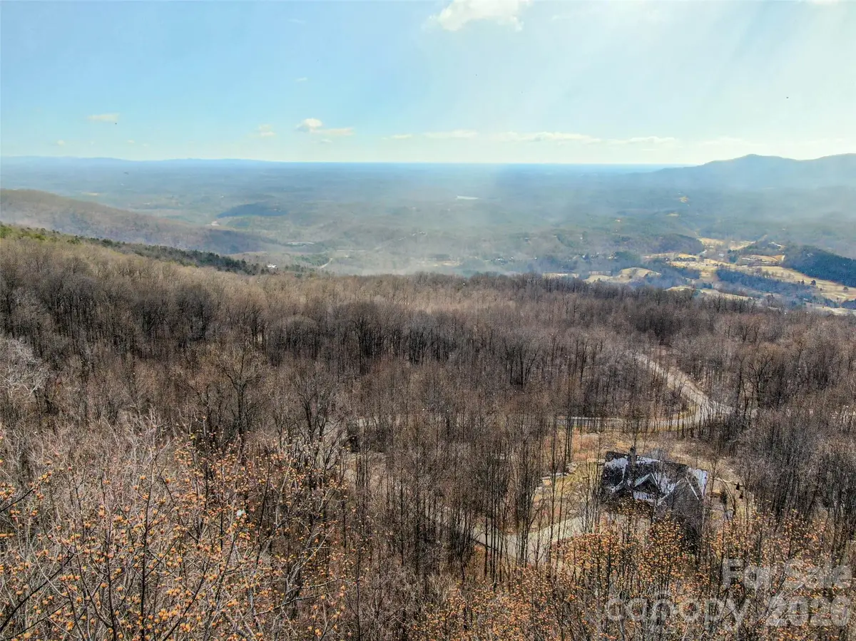 630 Spring Cove Lane, Mill Spring, NC 28756 - #1