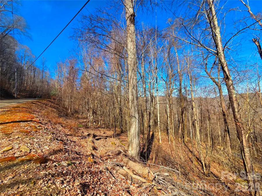 160 Slippery Rock Road #206, Waynesville, NC 28785 - #2