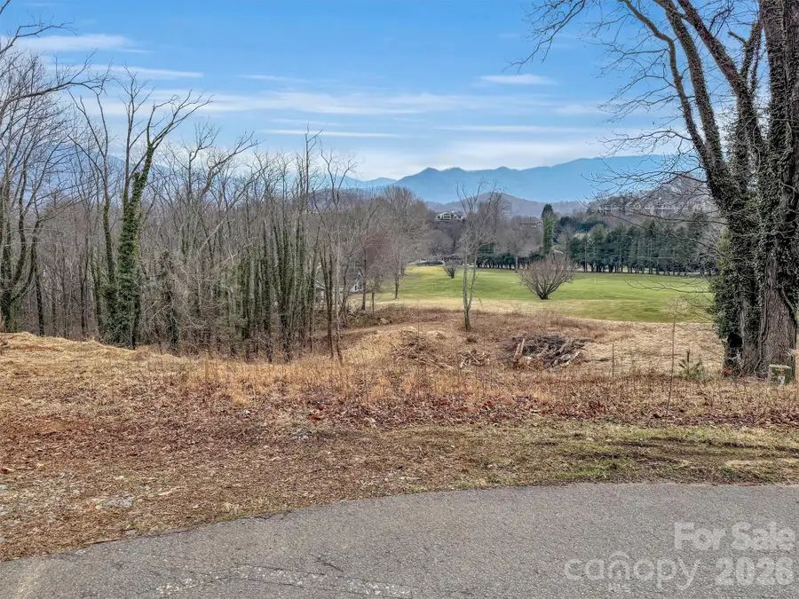 000 Cupp Lane, Waynesville, NC 28786 - #3