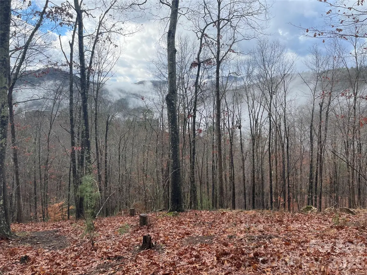 75 Wild Turkey Loop #31, Marshall, NC 28753 - #1