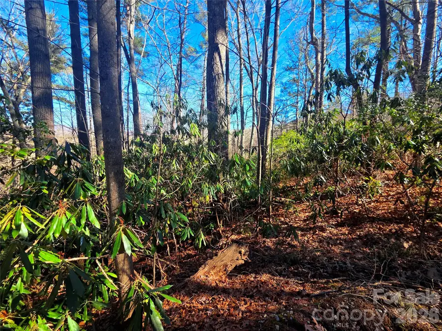 115 Fragrant Pine Drive #105, Waynesville, NC 28785 - #2