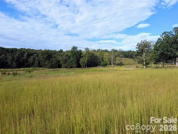 12 Acres County Line Road, Rutherfordton, NC 28139