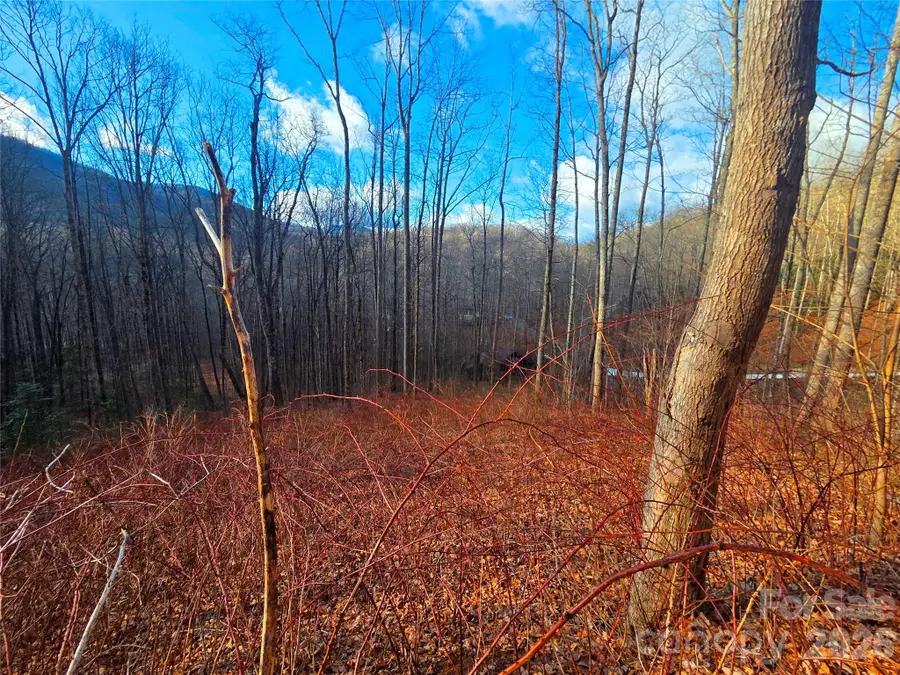 900 Fern Trail #31, Waynesville, NC 28786 - #2