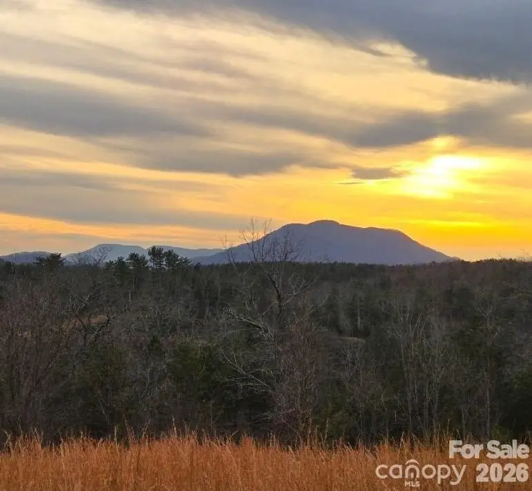 LOT #1 Price Summit Way, Mill Spring, NC 28756 - #1