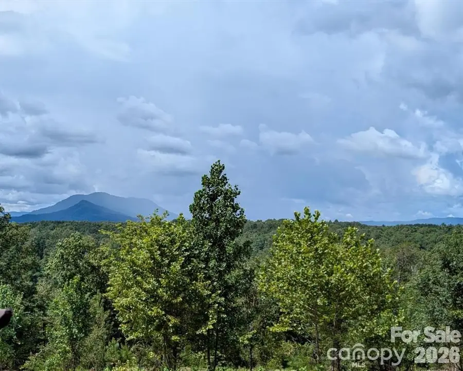 LOT #1 Price Summit Way, Mill Spring, NC 28756 - #2