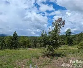 LOT #1 Price Summit Way, Mill Spring, NC 28756 - #3