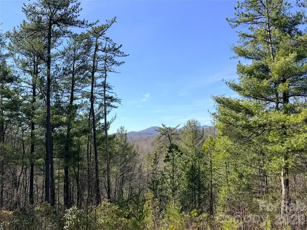 TBD Hidden Creek Road #18, Deep Gap, NC 28624