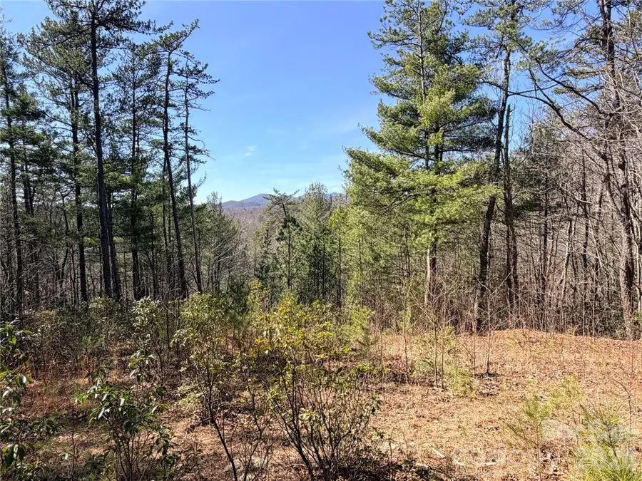 TBD Hidden Creek Road #18, Elk, NC 28624 - #2