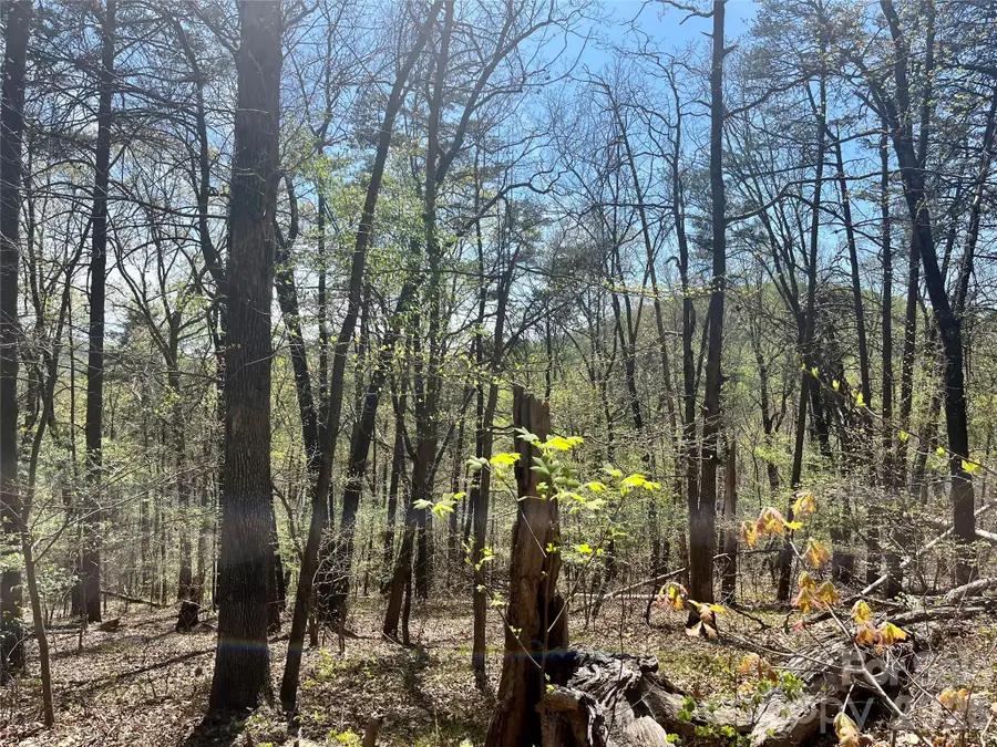 00 Pilgrim Church Road, Hiddenite, NC 28636 - #2