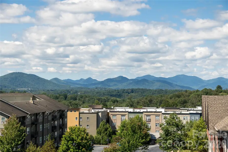 301 Ava Lane, Asheville, NC 28804 - #2