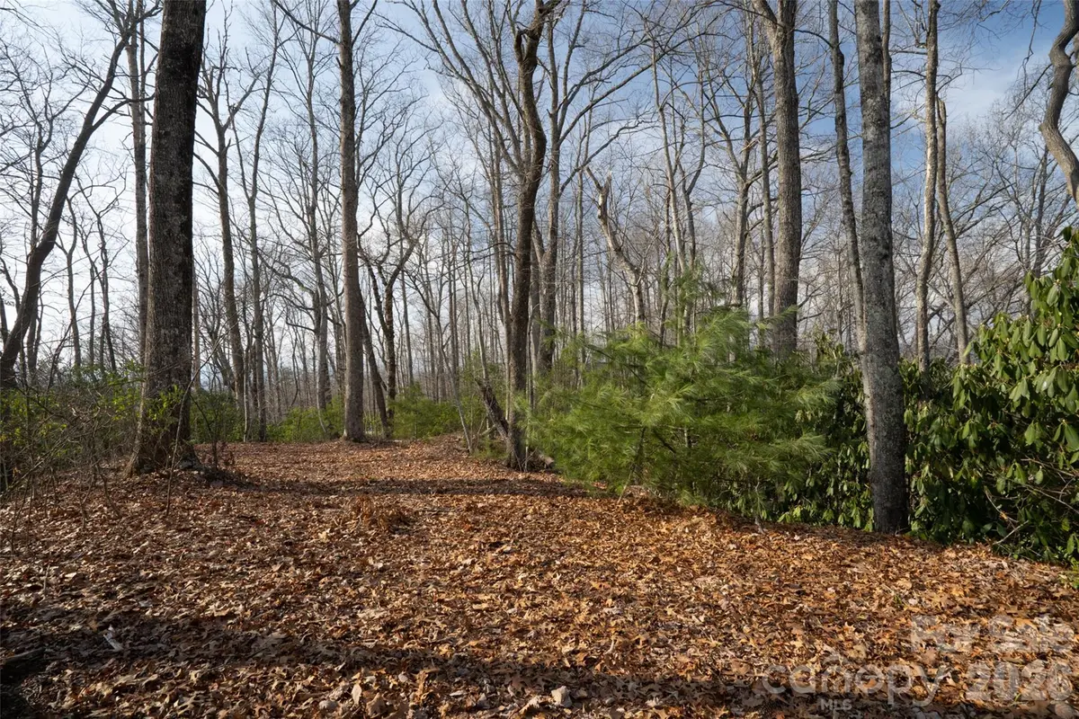 29 Open Ridge Trail, Pisgah Forest, NC 28768 - #1