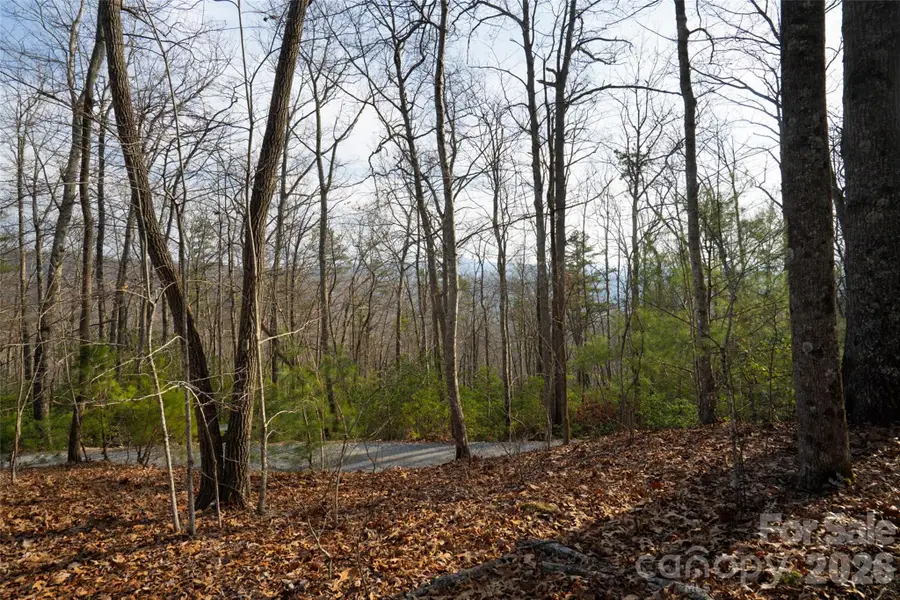 29 Open Ridge Trail, Pisgah Forest, NC 28768 - #3