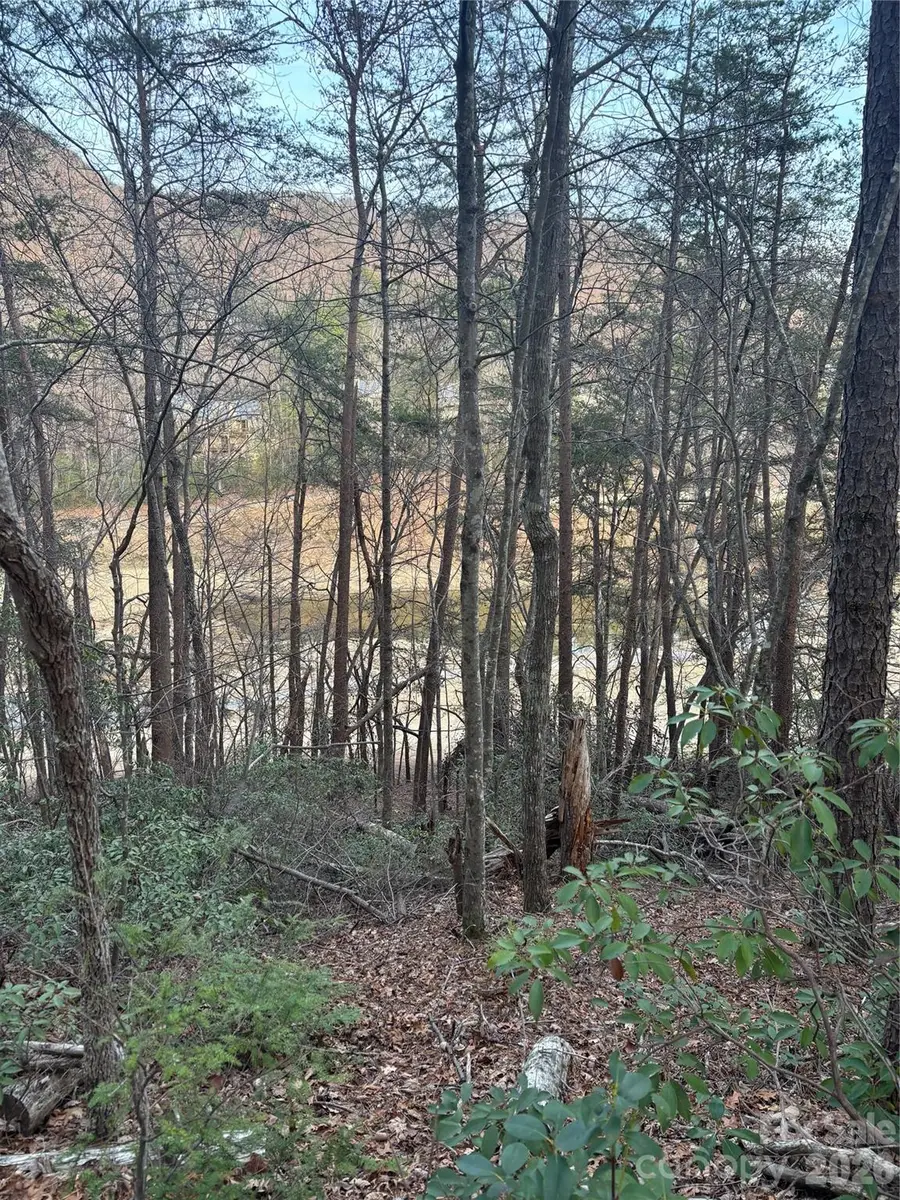 Lot 20 Nicklaus Lane, Lake Lure, NC 28746 - #3
