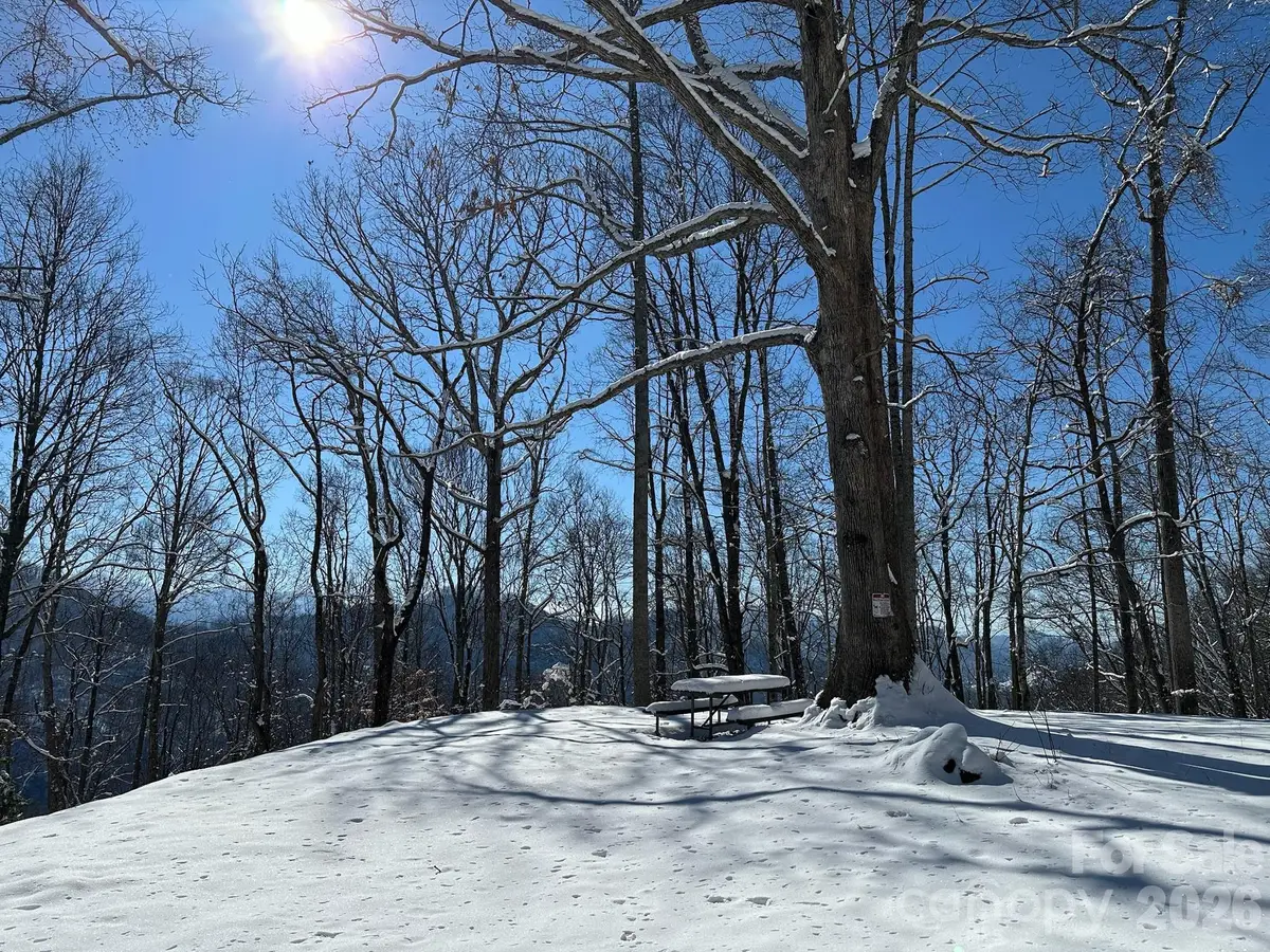 99999 North Fork Road, Barnardsville, NC 28709 - #1