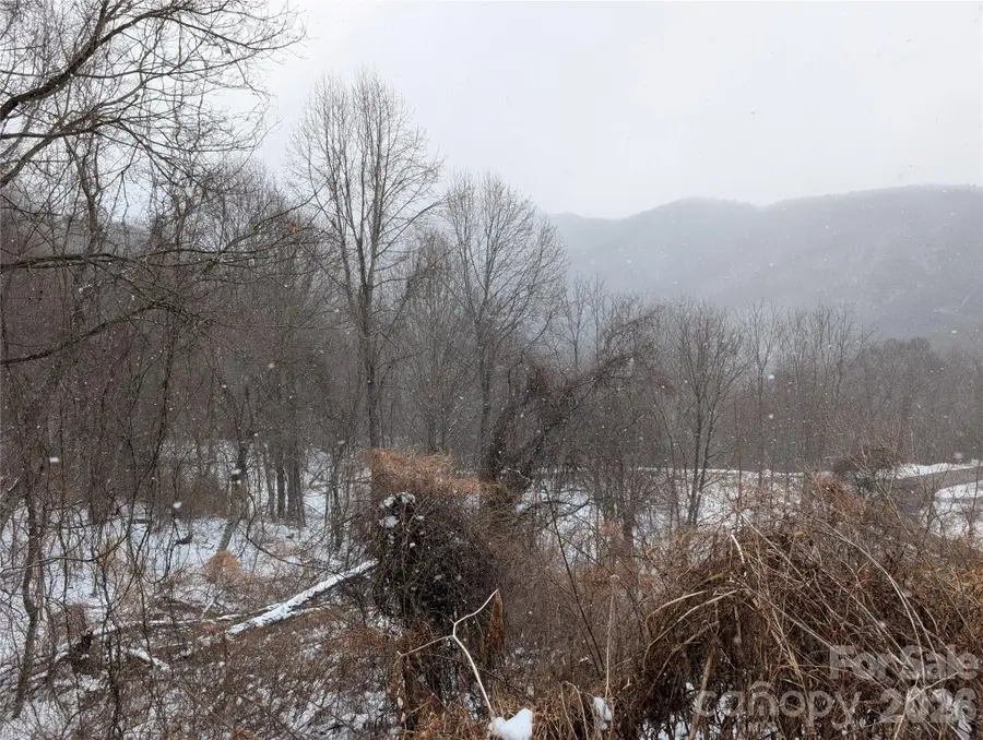 00 Bear Wallow Trail, Canton, NC 28716 - #3