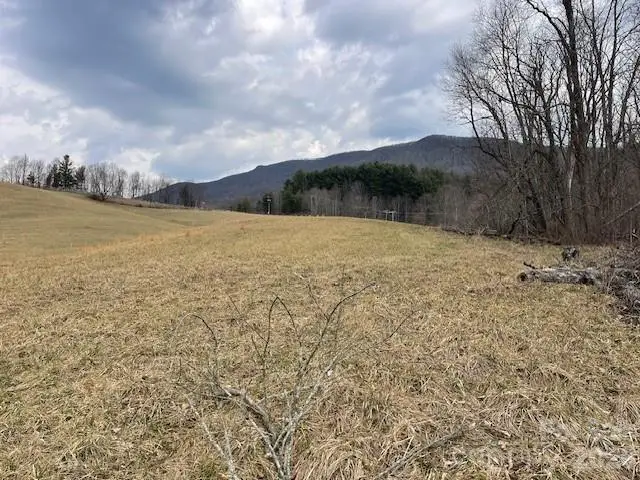 323 Tater Hill Road, Zionville, NC 28698 - #2