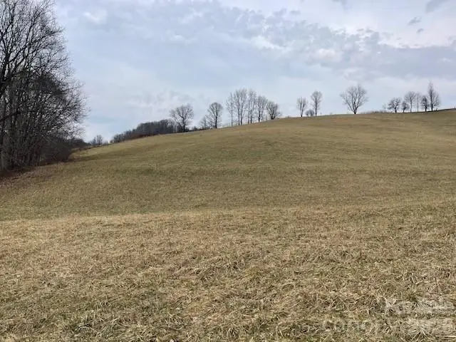 323 Tater Hill Road, Zionville, NC 28698 - #3