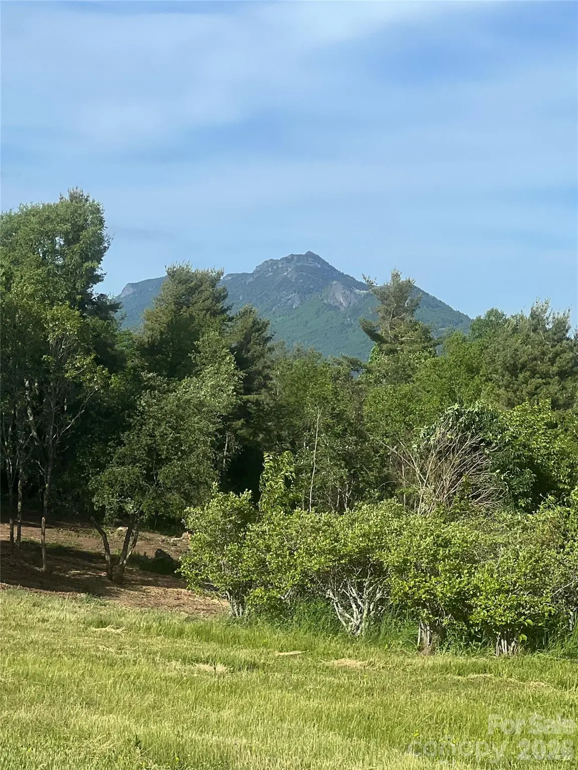 TBD Crestwood Circle #39, Linville, NC 28646 - #1