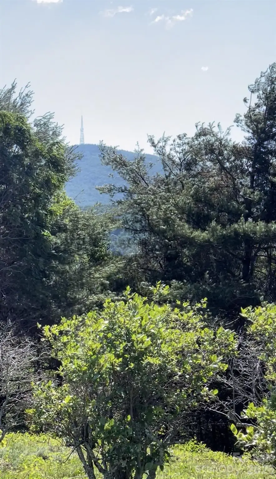 TBD Crestwood Circle #39, Linville, NC 28646 - #2