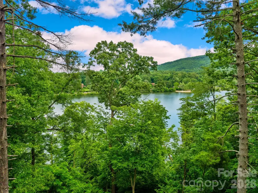 17 Hendrickson Court, Candler, NC 28715 - #3