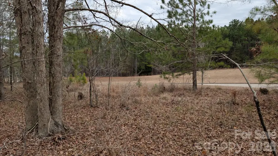 TBD Retreat Way #3, Ridgeway, SC 29130 - #3