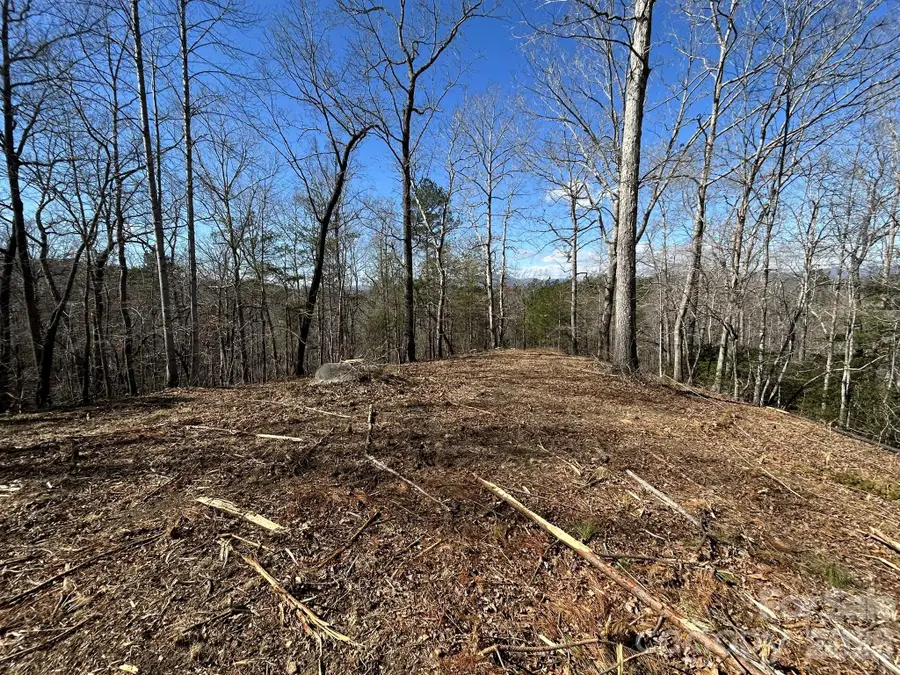 00 Millcreek Way, Rutherfordton, NC 28139 - #2