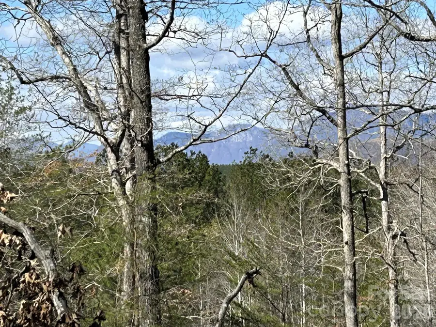 00 Millcreek Way, Rutherfordton, NC 28139 - #3